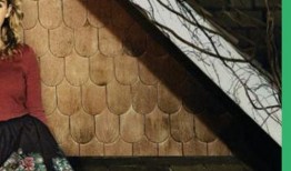 阁楼之花在线观看,揭秘神秘阁楼中的爱情传奇