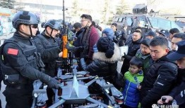 邢台特警最新爆料,实战瞬间，英勇无畏守护平安