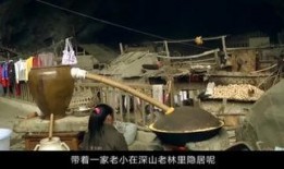 隐居在线观看,揭秘隐士生活，探寻心灵宁静之旅