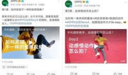 10月新瓜最新爆料,娱乐圈风云再起，神秘事件引热议